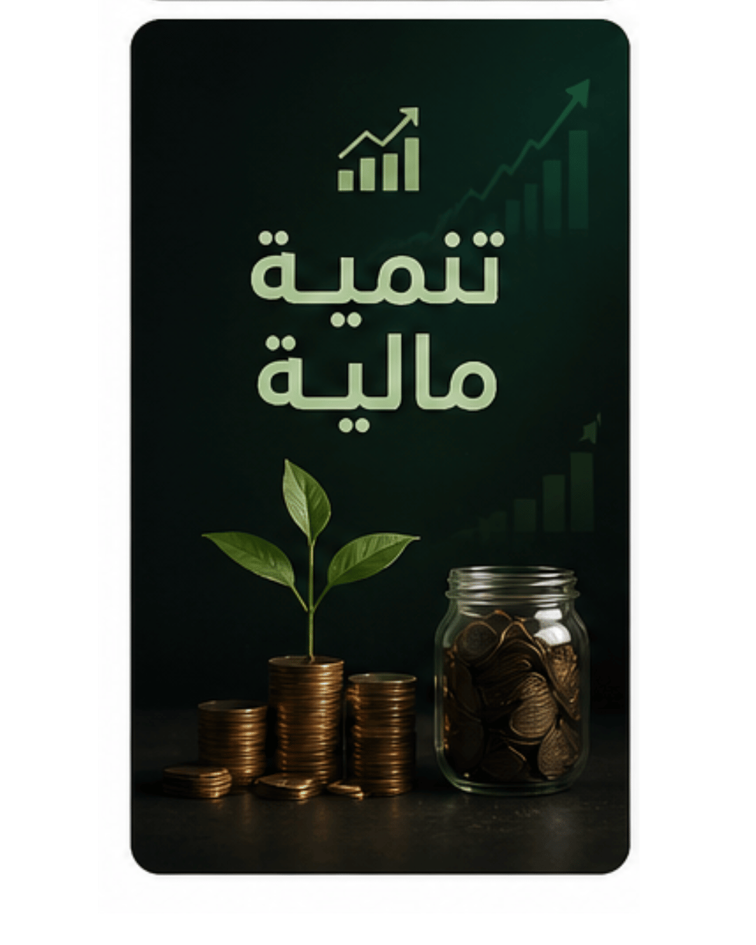 تنمية مالية ادارة أعمال